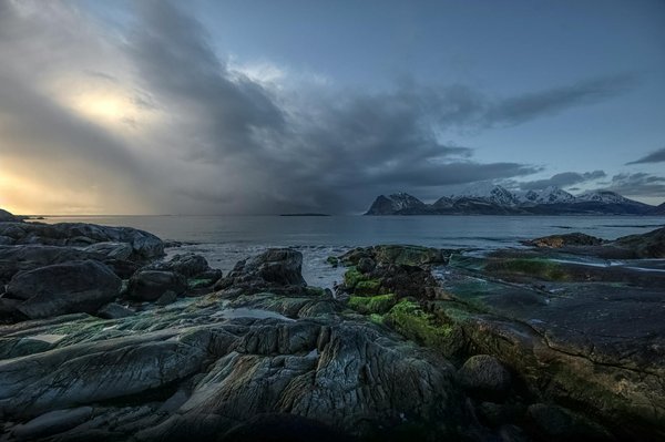 Évasion et Tranquillité : Vivez une Nuit Magique dans un Chalet de Camping